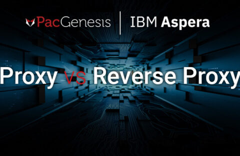 What is the Difference Between Proxy vs Reverse Proxy?