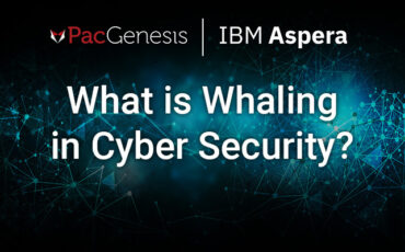 What is Whaling in Cyber Security?