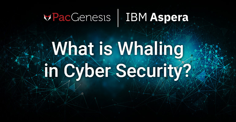 what-is-whaling-in-cyber-security