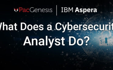 What Does a Cybersecurity Analyst Do?
