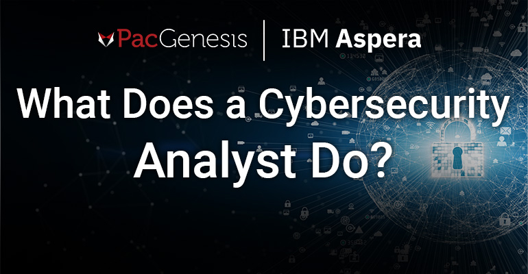 What Does A Cybersecurity Analyst Do 