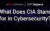 What Does CIA Stand For in Cybersecurity?