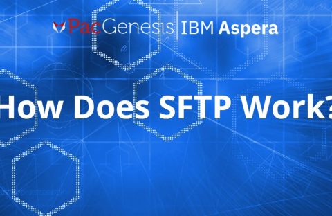 How Does SFTP Work? Secure File Transfer Protocol Demystified.
