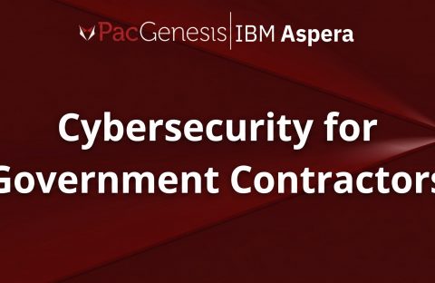 file security and Cybersecurity for Government Contractors