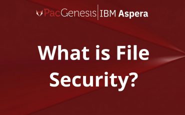 What Is File Security? Best Practices for Protecting Files in Motion and at Rest