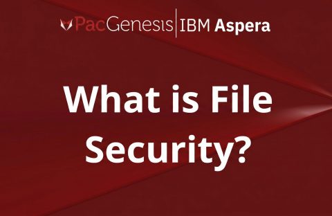 What Is File Security? Best Practices for Protecting Files in Motion and at Rest