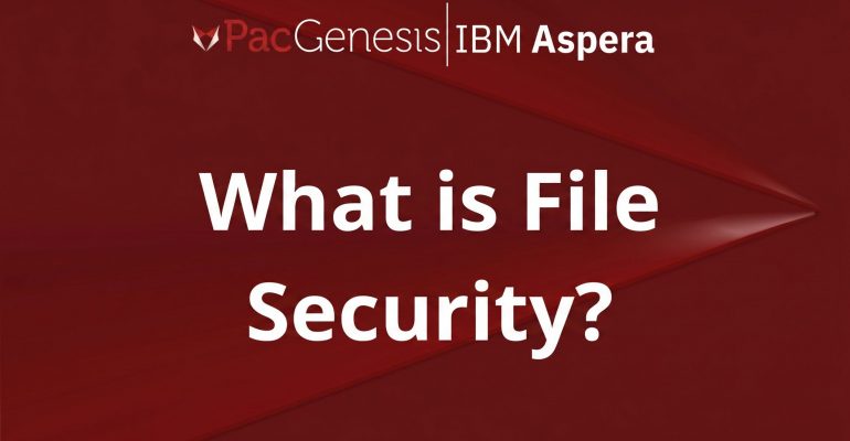What Is File Security? Best Practices for Protecting Files in Motion and at Rest