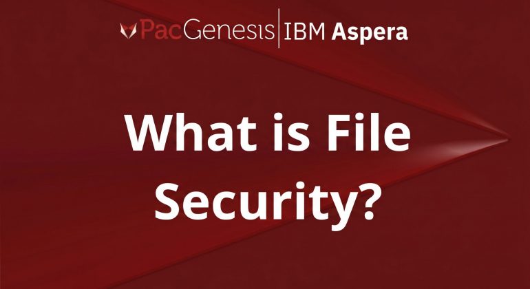 What Is File Security? Best Practices for Protecting Files in Motion and at Rest